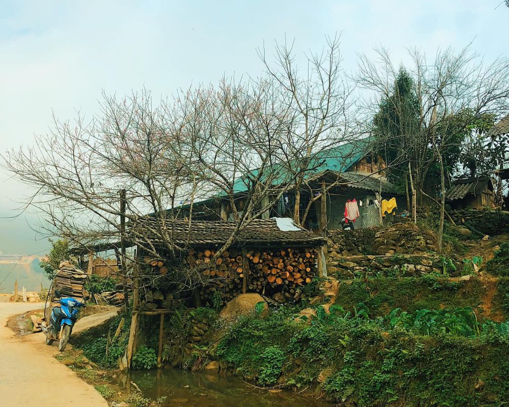 Road-to-Lao-Chai-village