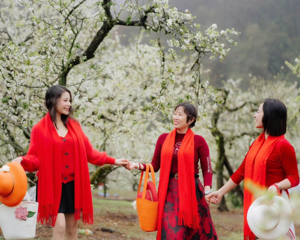 Women-take-photos-with-the-plum-tree-at-Moc-Chau