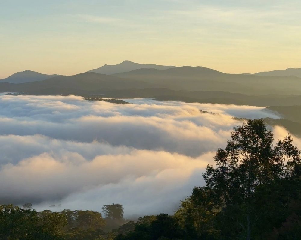 Cloud-hunting-at-Cau-Dat-tea-hill