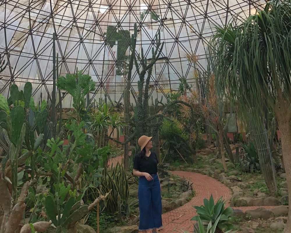 Taking-a-photo-at-Cactus-Greenhouse
