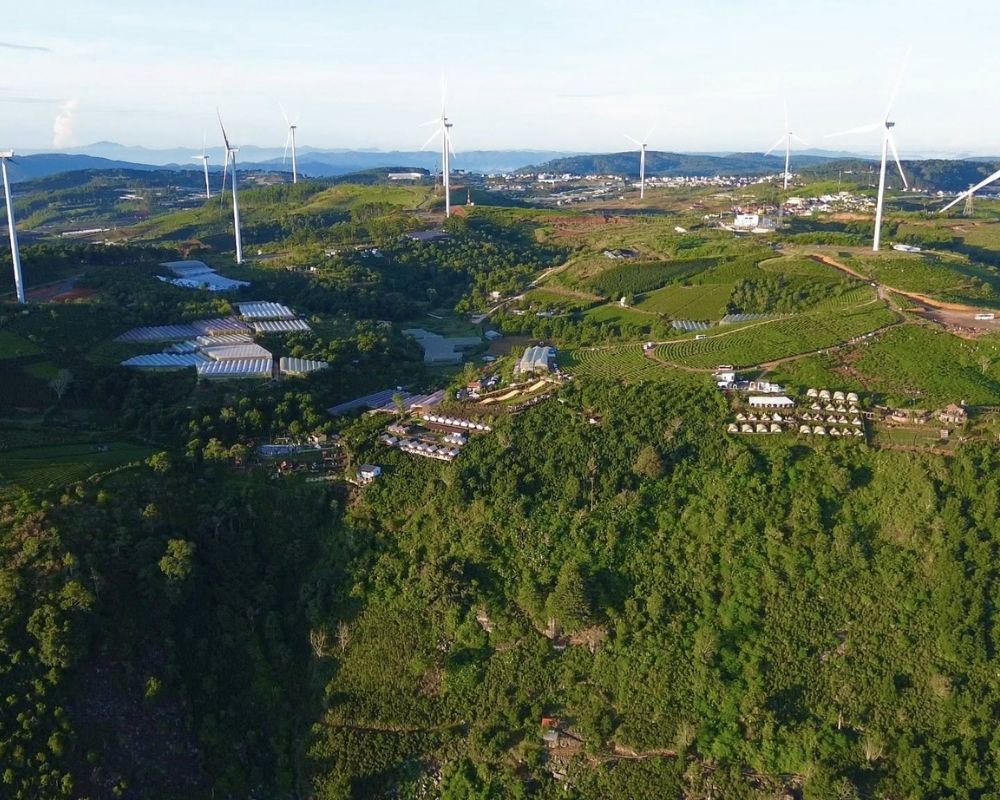 The-beauty-of-Cau-Dat-Tea-Hill-in-Dalat