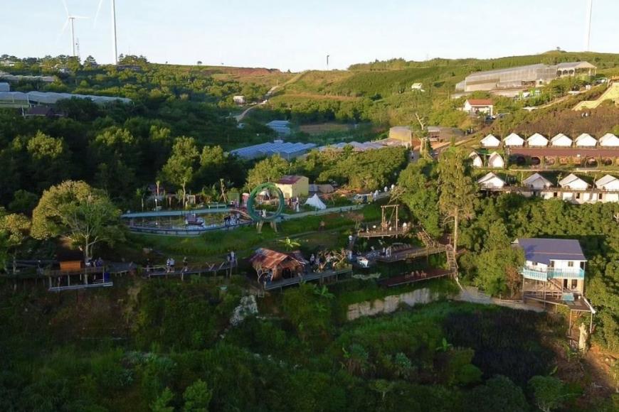 Cau Dat Tea Hill Dalat: Travel Guide