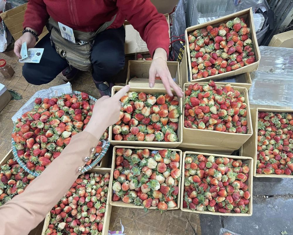 Dalat-dried-strawberries_1