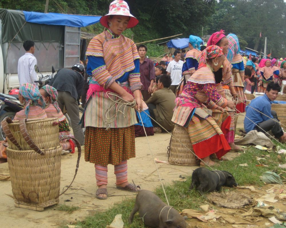 Ethnic-people-in-Sapa-are-selling-pigs