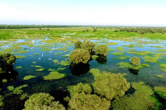 DONG THAP – THE BEAUTIFUL WETLAND PROVINCE IN MEKONG DELTA