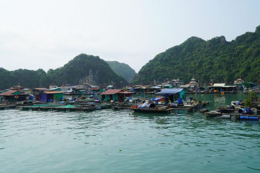 How To Travel From Sapa To Cat Ba Island?
