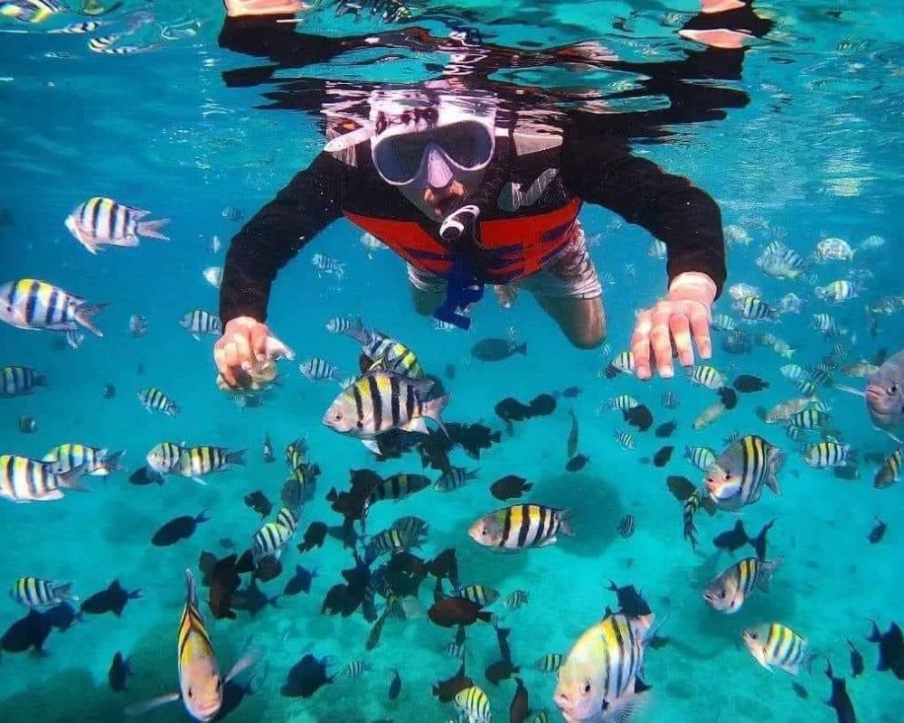 Experience-Hon-Tam-Scuba-Diving