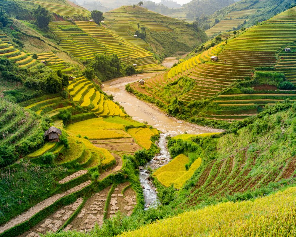 Mu-cang-chai-landscape-terraced-rice-field