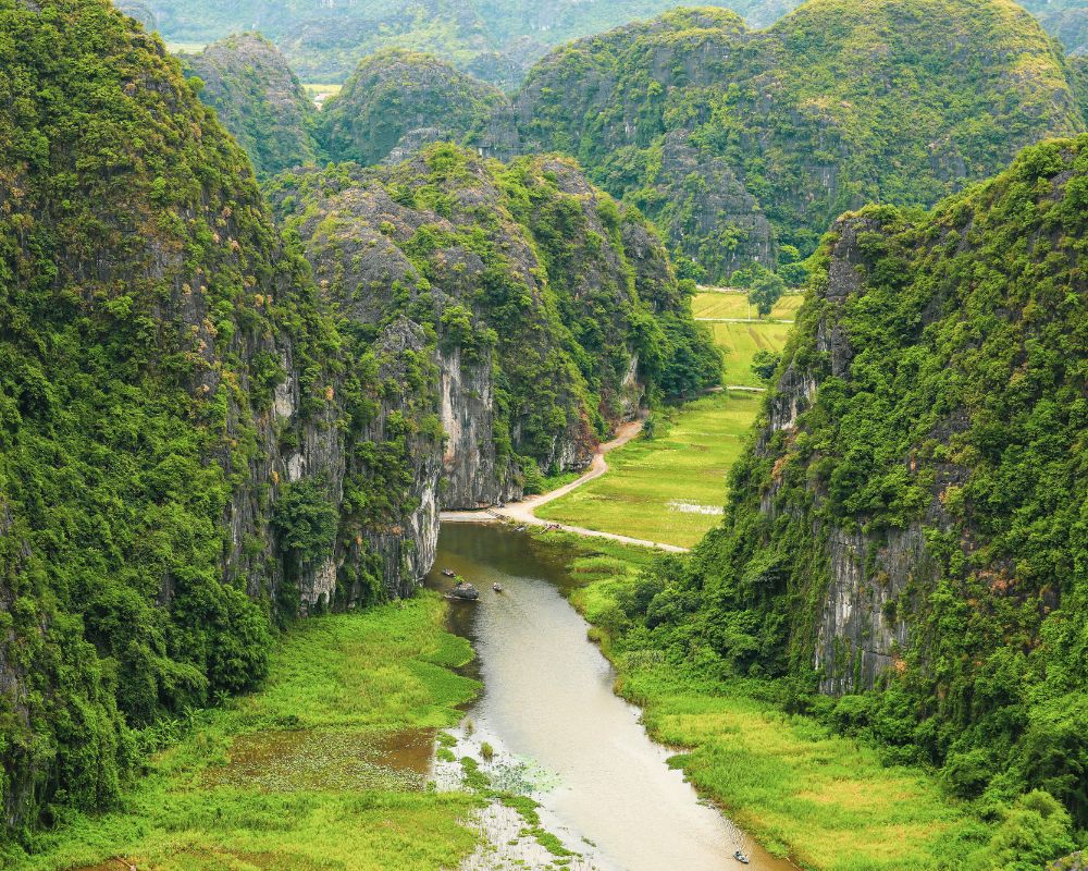 Rice-field-and-river-in-Tam-Coc-Ninh-Binh