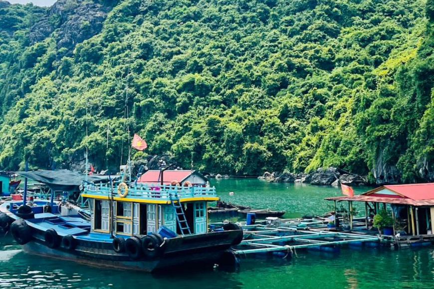 How To Travel From Hai Phong To Cat Ba Island?
