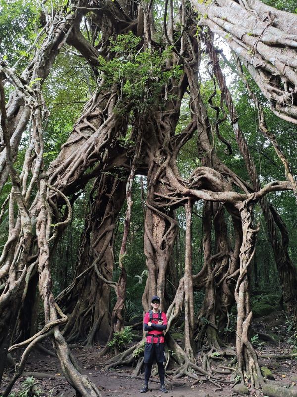 Cat-Tien-National-Park