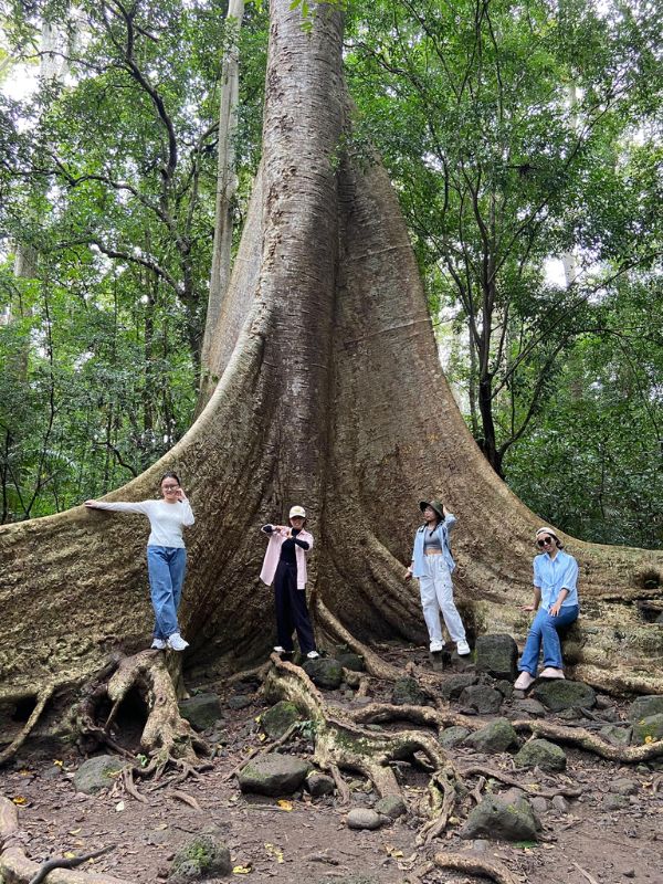 Cat-Tien-national-park-2