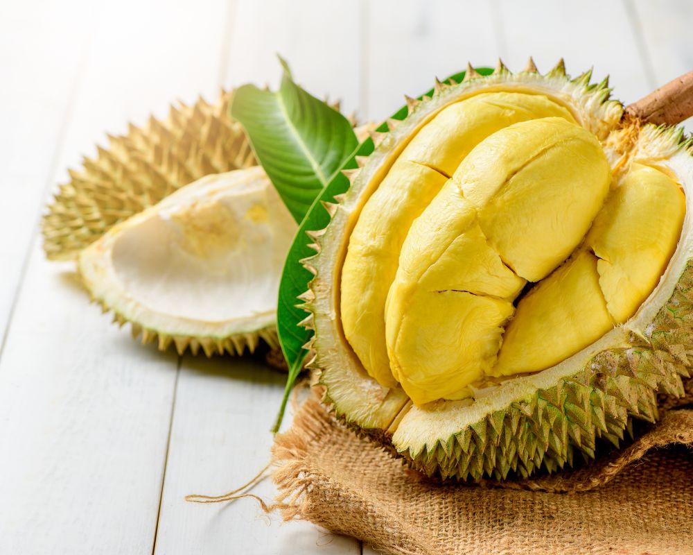 Durian-Sầu-rieng