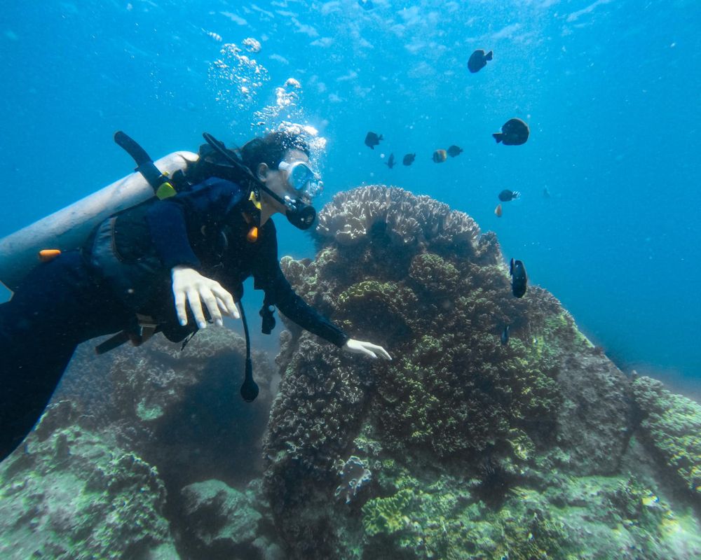 Scuba-diving-at-Hon-Mun-island