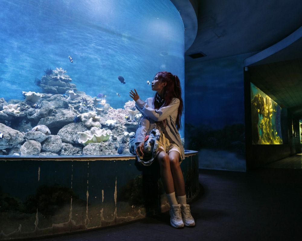 The-girl-sees-the-fish-at-Institute-of-Oceanography