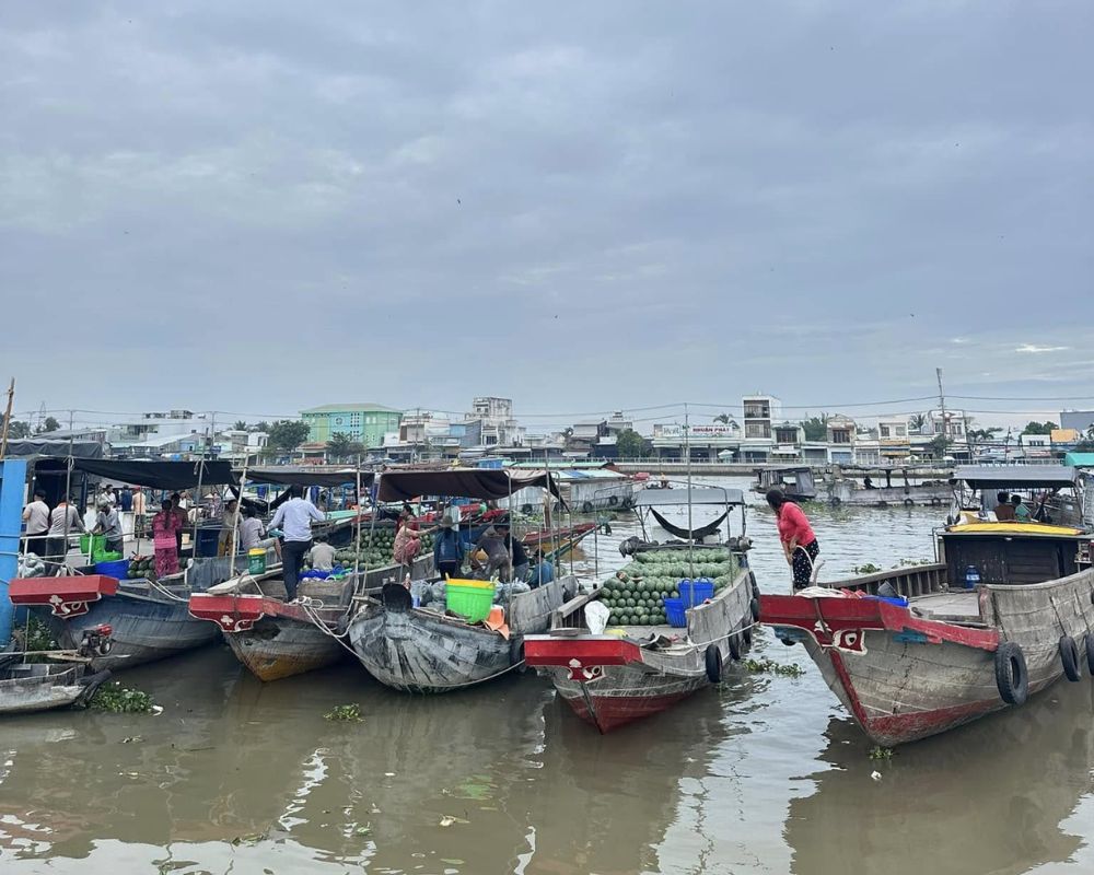 Ships-loaded-with-agricultural-products