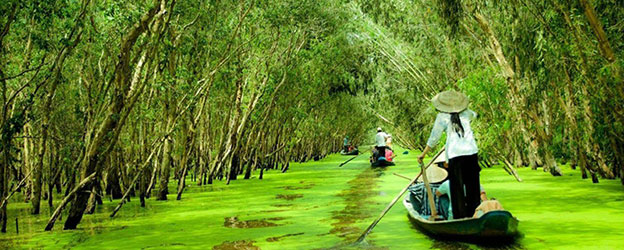 Chau Doc Tra Su Forest, Cham Village Tour From Cantho | Car Rental