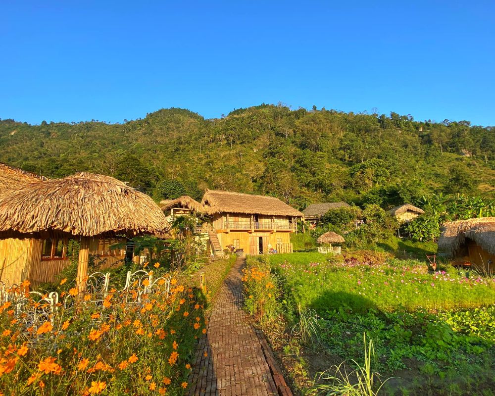 Admire-the-beauty-of-Ha-Giang-at-Hoang-Su-Phi