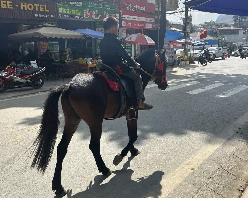 Boy-riding-horse-on-the-road-of-Bac-Ha-market